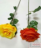 Цвет. Роза 1шт стебель 65см (500)